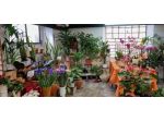 Negozio in vendita a Carrara 90 mq  Rif: 1127511