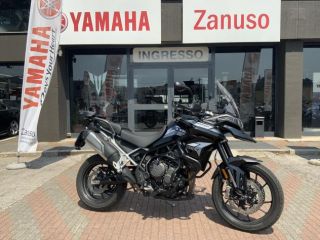 Triumph Tiger 900 null
