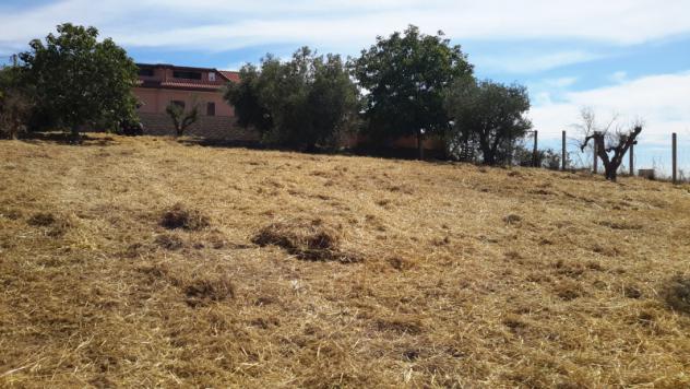 TERRENO AGRICOLO di 1300 mq (POMEZIA) rif. C/305 - Foto 19