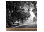 Fotomurale Adesivo Forestale In Bianco E Nero Arredalacasa