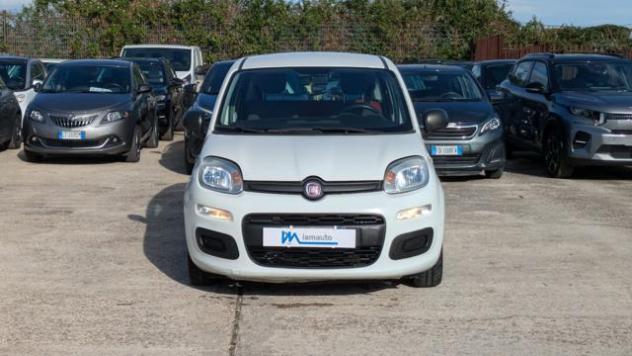 FIAT Panda GPL 1.2cc 69cv rif. 24182197 - Foto 10