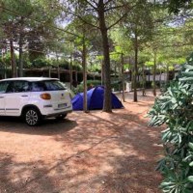 Villaggio Turistico La Pantera Rosa di Corrente Domenico - Foto 4