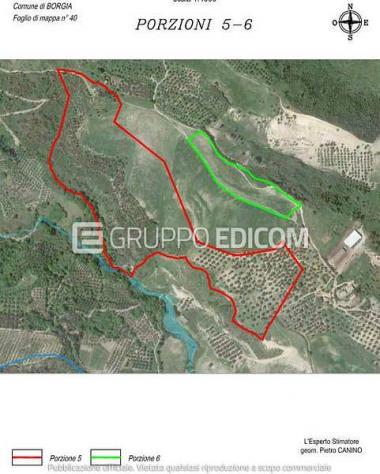 Terreno di 8570 mq in vendita a Borgia - Rif. 4555726 - Foto 4