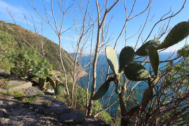 Rustico in vendita a La Spezia 25 mq Rif: 1036229 - Foto 4