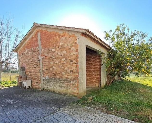Porzione di casa in vendita a Cascina 250 mq Rif: 1427911 - Foto 3