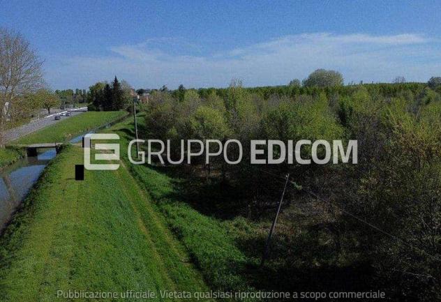 Terreno di 29309 mq in vendita a Cerea - Rif. 4549341 - Foto 2