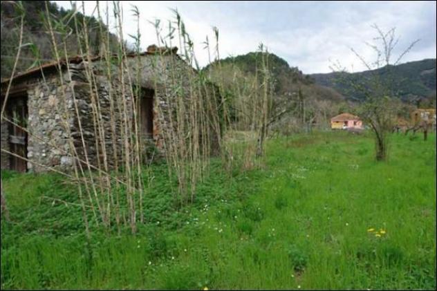 Seminativo in vendita a Fosdinovo - Foto 2