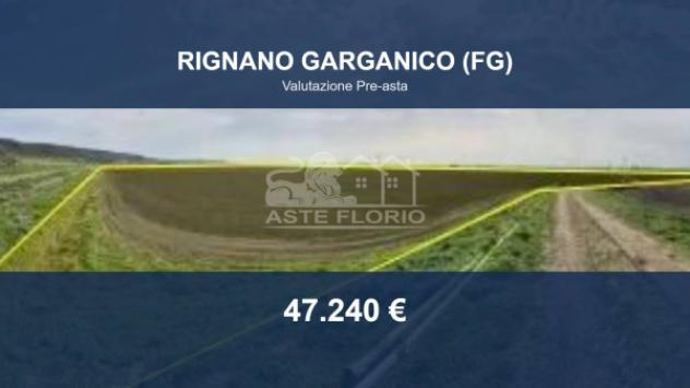 Immobile in asta di 31670 m² in vendita a Rignano Garganico
