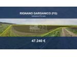Immobile in asta di 31670 m² in vendita a Rignano Garganico