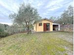 Terreno agricolo in vendita a Rosignano Marittimo 9330 mq  Rif: 1387072
