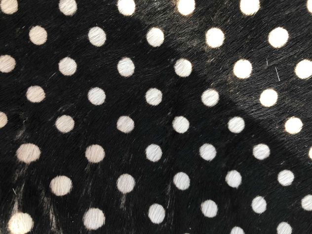 Pelle cavallino a pois bianco e nero - Foto 4