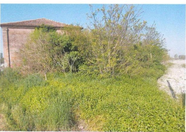 Immobile in asta di 113 m² in vendita a Portomaggiore - Foto 2