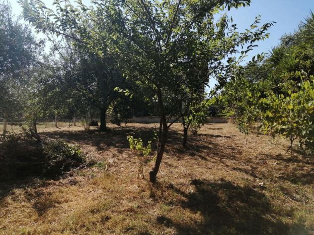 Villa bifamiliare - Sezze . Rif.: Cod. rif 3081565VRG - Foto 3