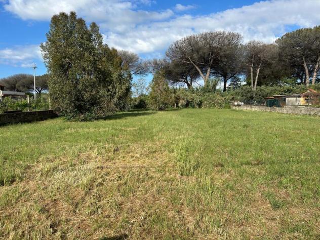 Agricolo in vendita a Aprilia - Foto 18