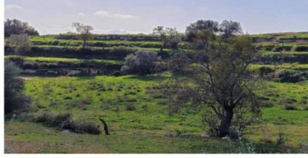 Immobile in asta di 51620 m² in vendita a Ragusa - Foto 10