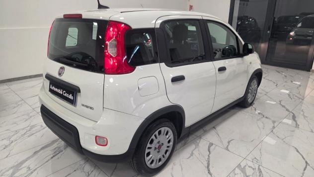 Fiat Panda 1.0 FireFly S&S Hybrid - Foto 2