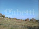 Terreno Residenziale - Tortoreto . Rif.: cod. rifT463VRG