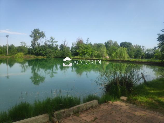 AZIENDA AGRICOLA di 7 vani e di 33000 mq (RIESE PIO X) rif. SW33_4 - Foto 7