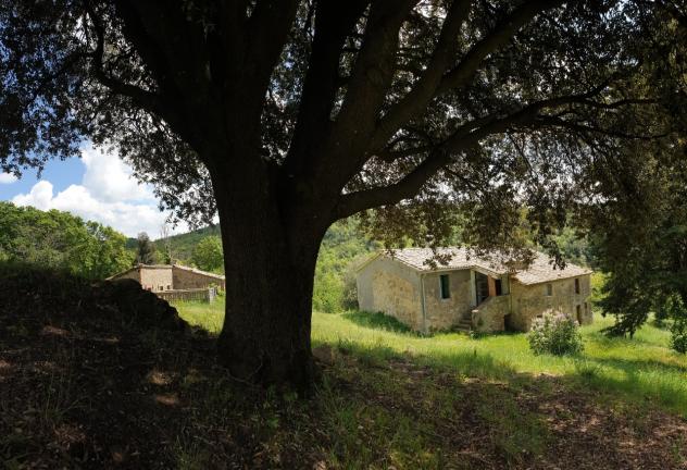 Casale in vendita a Orvieto - Foto 9