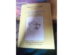 introduzione all'india