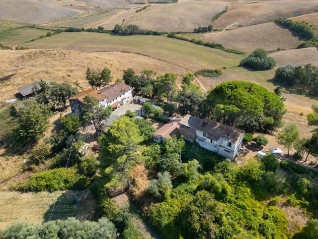 Azienda agricola in vendita a Terricciola 1000 mq Rif: 1427123