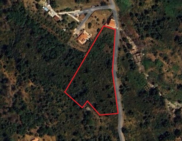 Terreno immerso nella natura con possibilità di costruzione vicino Cefalù - Foto 3