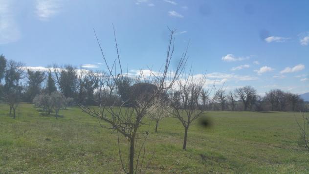 Seminativo in vendita a Lugnano in Teverina - Foto 6