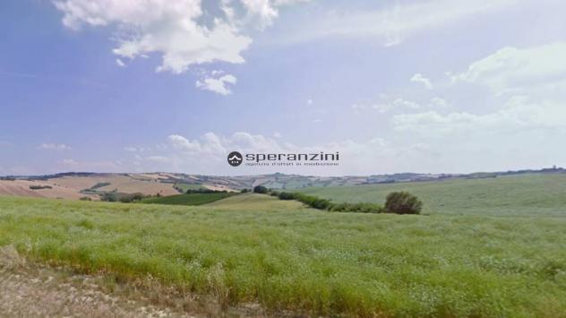 San costanzo proponiamo in vendita azienda agricola di circa 18 ettari. il terreno gode di un'ottima esposizione ed è facilmente raggiungibile dalle p - Foto 7