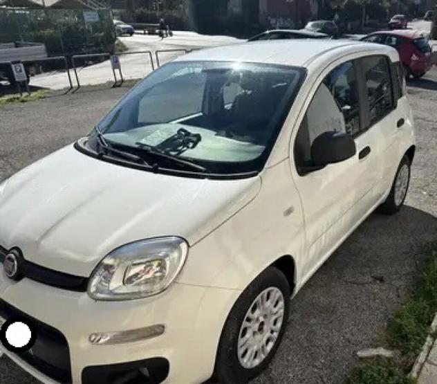 Fiat Panda 1.0 FireFly S&S Hybrid - Foto 4