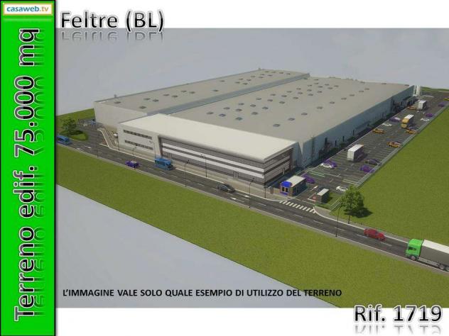 1719 - Terreno Edif. 75.000 mq a Feltre (BL) Rif. 1719 - Foto 4