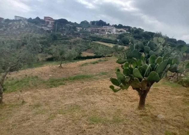 Immobile in asta di 4190 m² in vendita a Norma - Foto 2