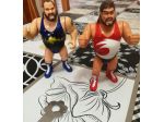 Personaggi wrestling