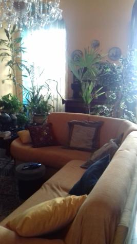 Appartamento in vendita a Sarzana - Foto 10
