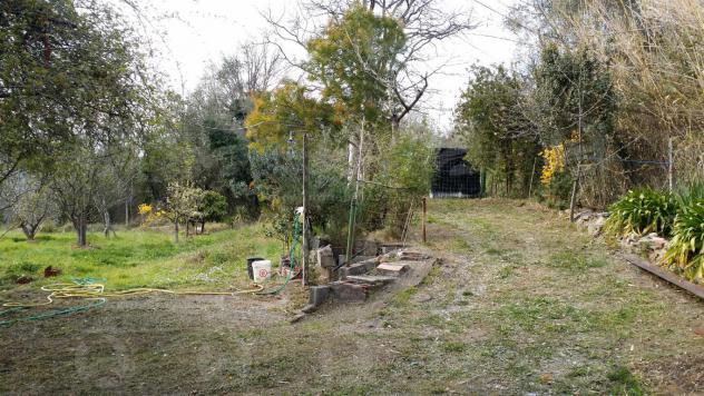 Alassio, terreno di circa 6.000 mq. con progetto per costruire una villa. - Foto 17