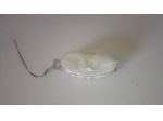 Plafoniera / luce di cortesia abitacolo SMART 700 ForTwo 450