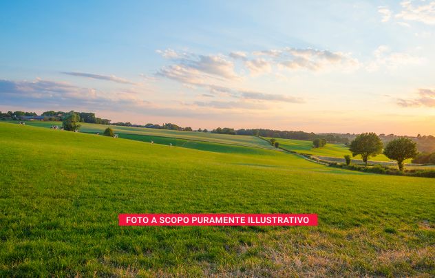 Rudere con terreno agricolo – Apice (Benevento), località Santa Lucia