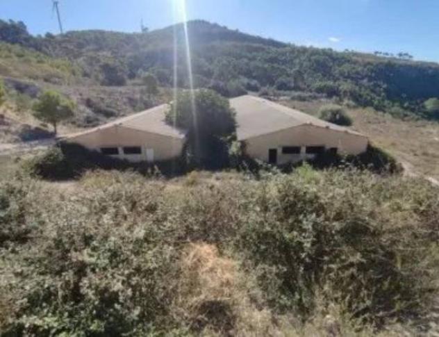 Immobile in asta di 15000 m² in vendita a Licodia Eubea - Foto 8