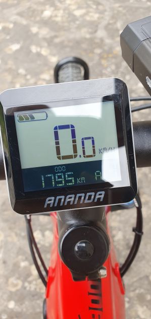 E-BIKE OLIMPIA EX900 a pedalata assistita, taglia L - Foto 5