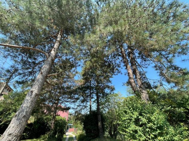 Villa in vendita a Montemagno - Calci 400 mq Rif: 1279117 - Foto 5