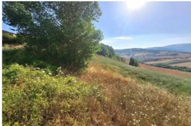 Immobile in asta di 1580 m² in vendita a Camerino - Foto 5