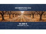 Immobile in asta di 21482 m² in vendita a Decimoputzu