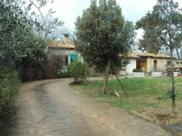 Immobile in asta di 1930 m² in vendita a Montefalco - Foto 3