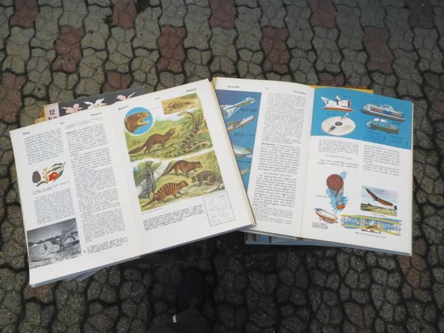 Regalo Enciclopedia x giovani - Foto 3