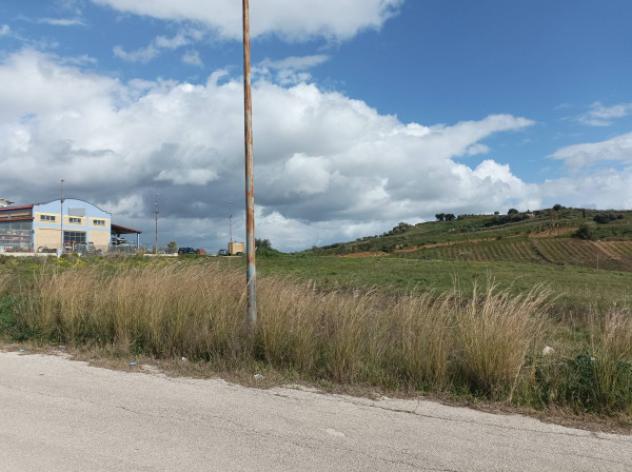 Immobile in asta di 8659 m² in vendita a Delia - Foto 4