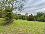 Terreno agricolo in vendita a Massarella - Fucecchio 19660 mq  Rif: 1344159