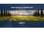 Immobile in asta di 1715 m² in vendita a Sant'Agata di Esaro