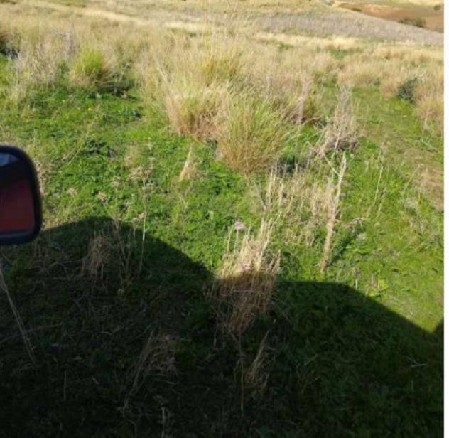 Immobile in asta di 155290 m² in vendita a Salemi - Foto 3