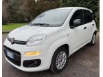 Fiat Panda 1.2 EasyPower Easy ADATTA NEOPATENTATI