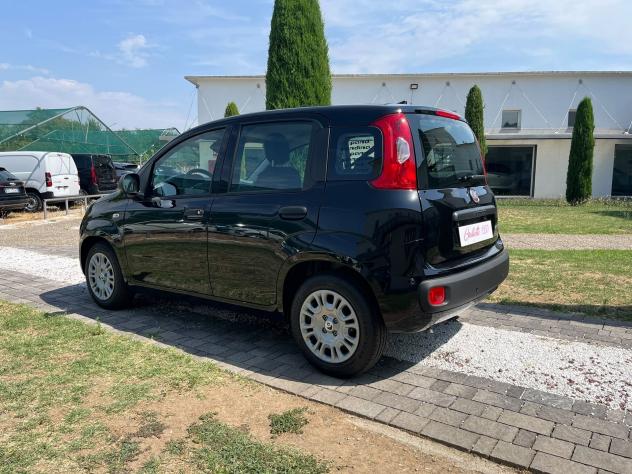 FIAT Pandina 1.0 FireFly 65cv S&S 6m Hybrid Icon - Foto 2