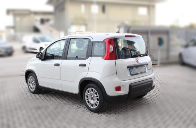 FIAT Panda 3ª serie Panda 1.0 FireFly S&S Hybrid - Foto 5